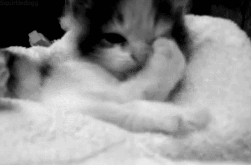 tumblr_m1wlprhmJY1qjmz65o1_500.gif