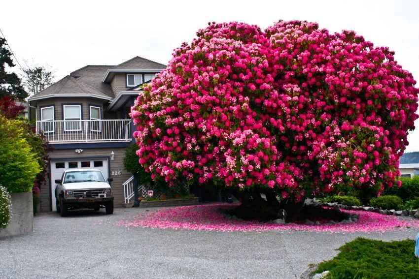tumblr_mbrkanzx9C1rprwj6o1_1280.webp
