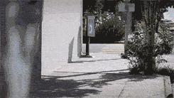 tumblr_mleujlYMsA1s1clzao1_250.gif