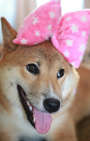 tumblr_mly2t8gy2e1qjemo2o1_400.jpg