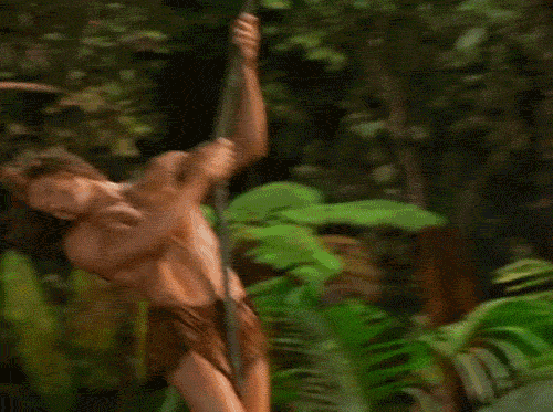 tumblr_mqywn2UMUi1s39hlao1_r1_500.gif