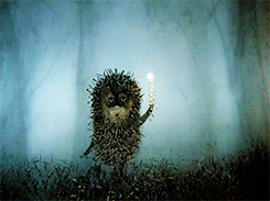 tumblr_mr6pq6GGY81qcu2e2o4_250.gif