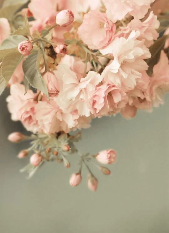 tumblr_n2aogezKah1s4e9y0o1_540.webp