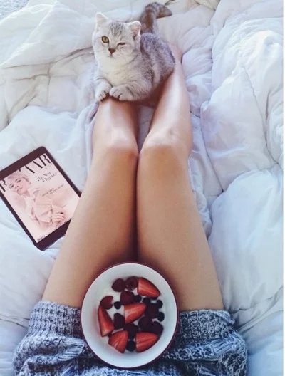 tumblr_n5pg0uKvz21s3mvf0o1_400.webp