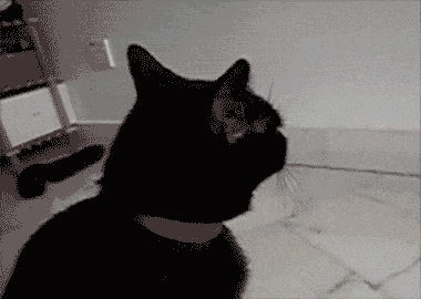 tumblr_nbtttbXBjy1rrhjaso1_400.gif