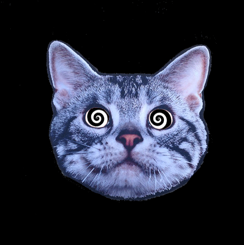 tumblr_neunfwVZ3j1two90zo1_500.gif
