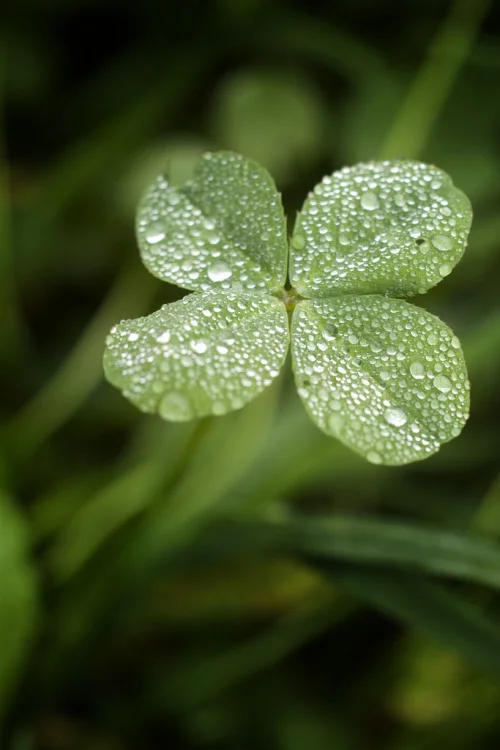 tumblr_nl9t0fRZez1rd8524o1_500.webp