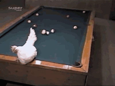 tumblr_nm3h5oNl9P1r41unfo1_400.gif