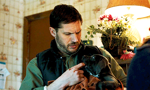 tumblr_nq6oszI0DS1qj0fdgo2_500.gif