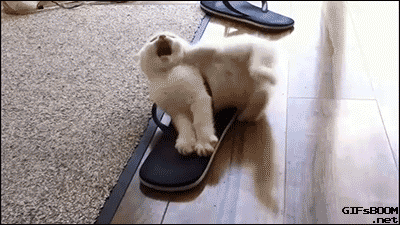 tumblr_nrhsotVWAz1s02vreo1_400.gif