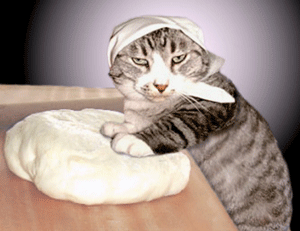 tumblr_nwwm41KOm91u17v8go1_400.gif