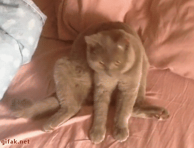 tumblr_nymsqkQhe11ukldkho1_400.gif