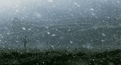 tumblr_nz8vk9rr5B1ro4v2no1_500.gif