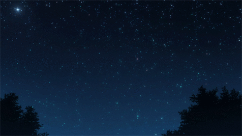 tumblr_nzkty841Yq1u7gnm9o1_500.gif