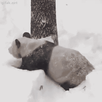 tumblr_o1f24iiuiS1ukldkho1_400.gif