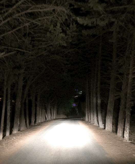 tumblr_o2lqlvegoV1tv8x2go1_540.gif