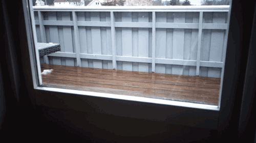 tumblr_o3c7km3rau1s02vreo4_500.gif
