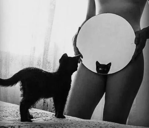 tumblr_o8isafwa6X1v2nm11o1_500.webp