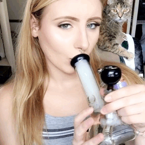 tumblr_oayksh1FSm1r601zmo1_400.gif