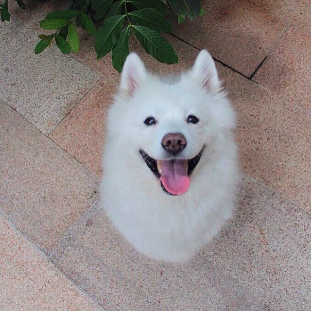tumblr_odpfzzHirP1uftiqto1_1280.webp