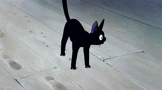 tumblr_px4hel5UKY1rsi0yho1_540.gif
