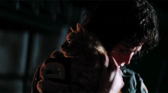 tumblr_px4hel5UKY1rsi0yho2_540.gif