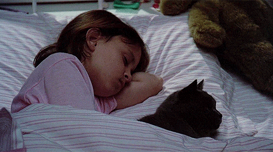 tumblr_px4hel5UKY1rsi0yho4_540.gif