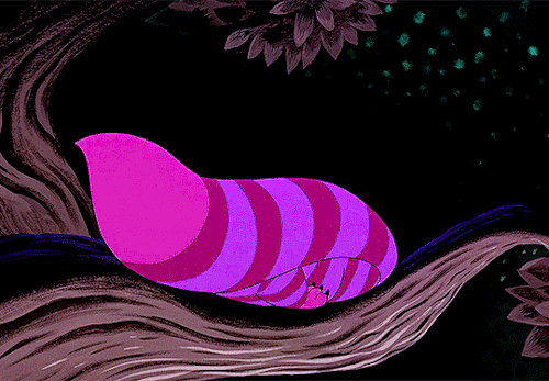 tumblr_pxmtfaSNse1rsi0yho5_500.gif