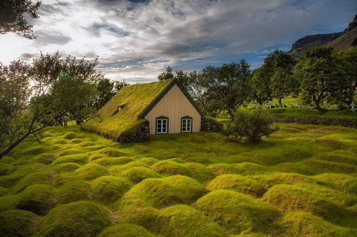 turf-church-hof-4.webp