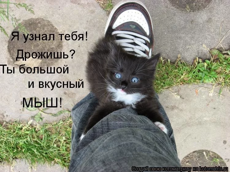 txkkINBkNitsYMgqpfEMJEk0FbV6aKFp3uw=w2880-h1620-no.webp