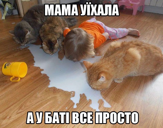 tY5P-uRoygk.jpg