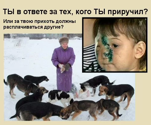 ty_v_otvete_6.webp