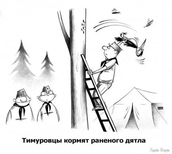 Тимуровцы и дятел.webp