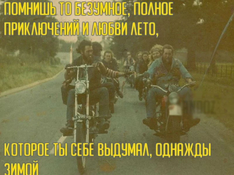 U-D_6UVyxbY.webp