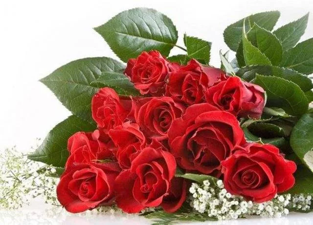 U53nP.webp
