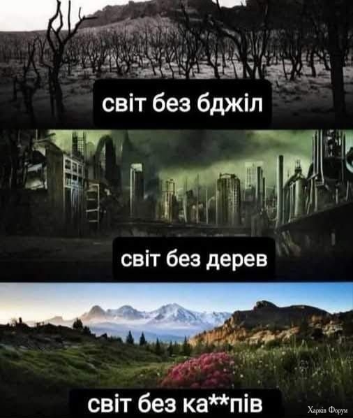 u5YsQ7kNvgEEdgA3&_nc_zt=23&_nc_ht=scontent.fhrk8-1.jpg