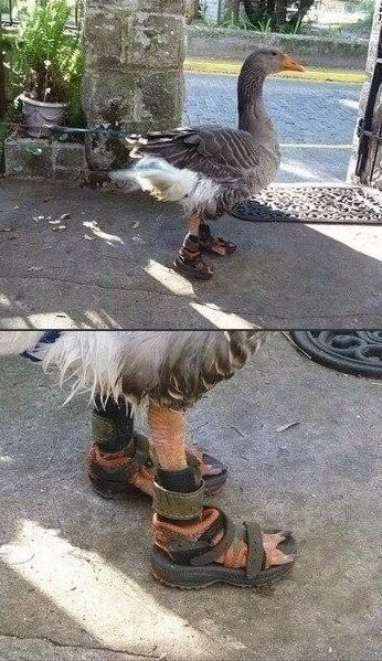 ubXgzKrYegQ.webp