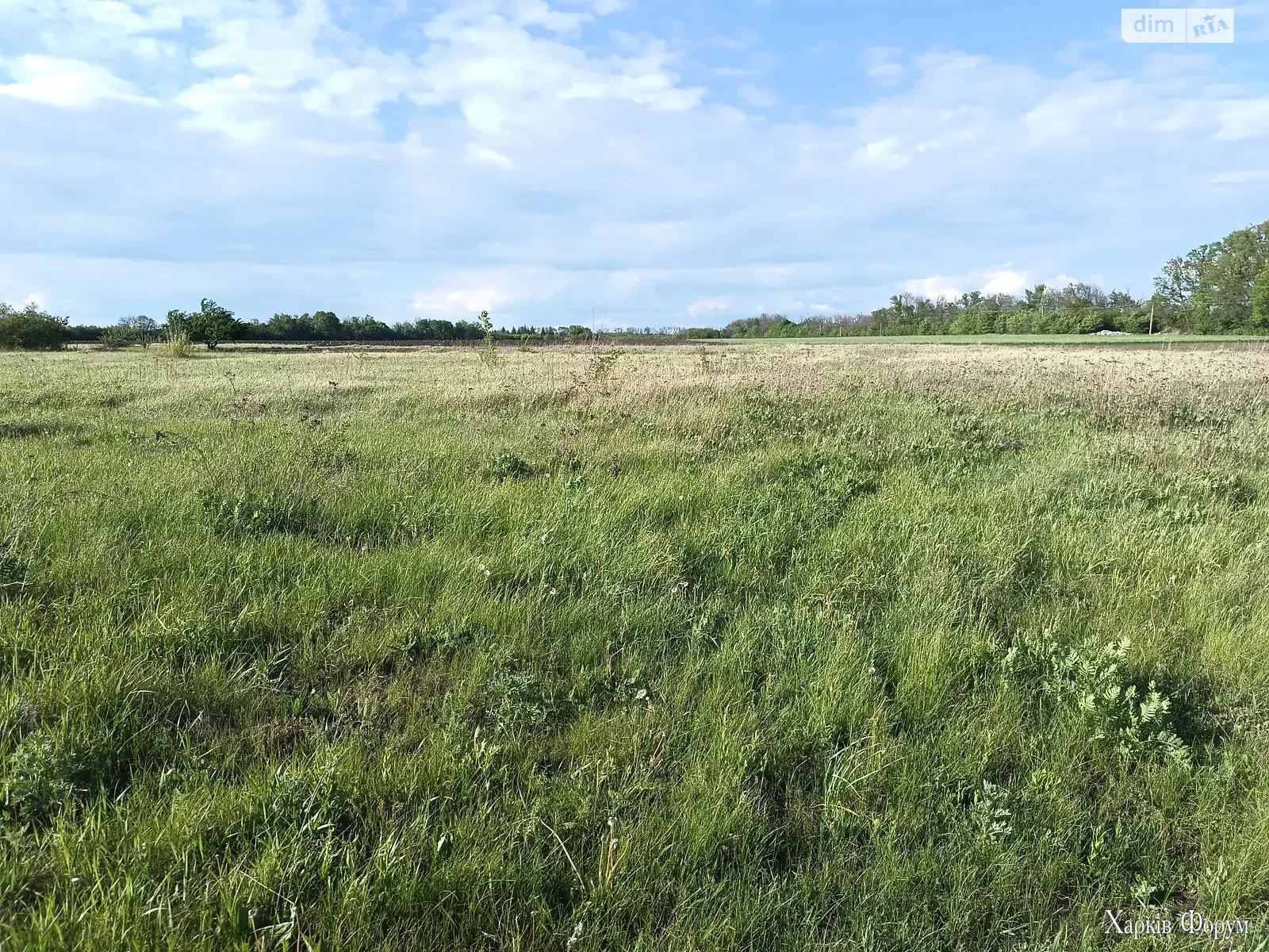 uchastok-zemli.webp