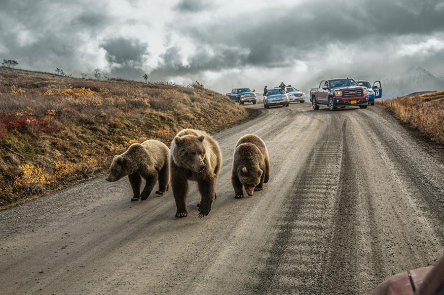 uchshikh_fotografij_goda_ot_national_geographic_10.jpg