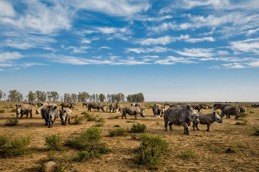 uchshikh_fotografij_goda_ot_national_Geographic_23.jpg