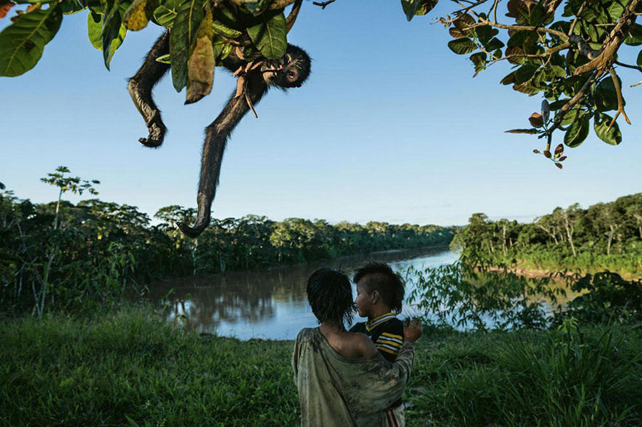 uchshikh_fotografij_goda_ot_national_Geographic_28.jpg