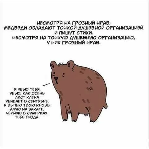 udZaM1nmekI.webp