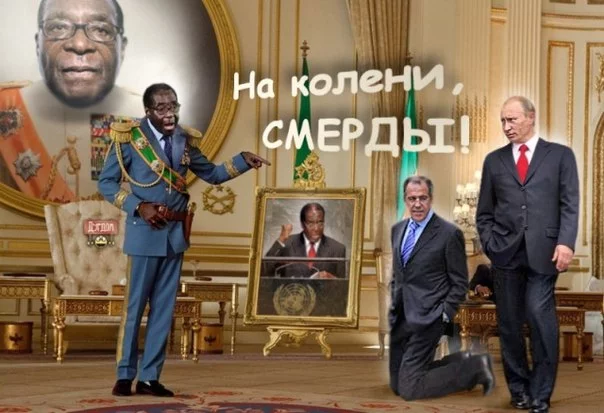 uhJdK46x7p4.webp