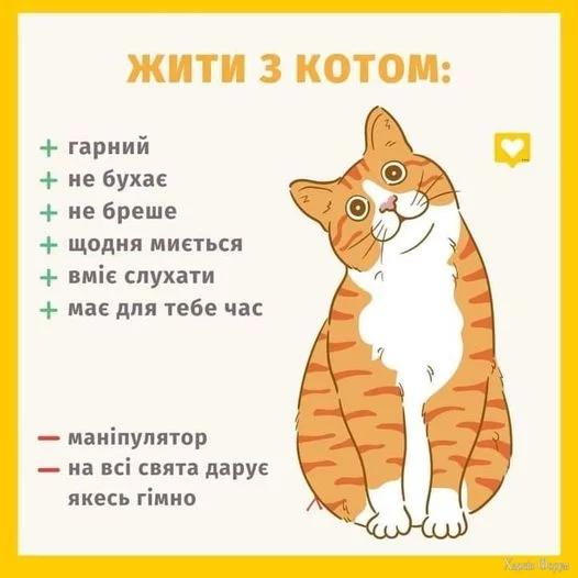 UhwkQ7kNvgFgrJvg&_nc_zt=23&_nc_ht=scontent.fdnk1-3.webp