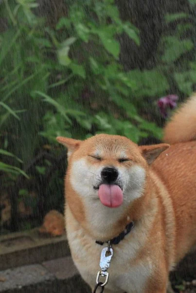 UhyfGV2Vp8w.jpg