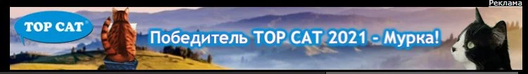 ui9yBGOH_o.webp