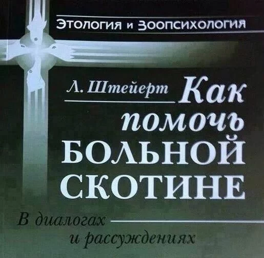 Ul5Z5EZGaEc.webp