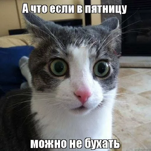 unnamed-2.webp