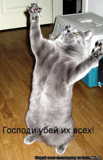 unnamed.webp