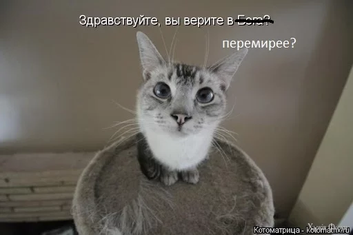 unnamed.webp